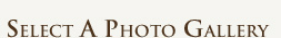 Select a Photo Gallery